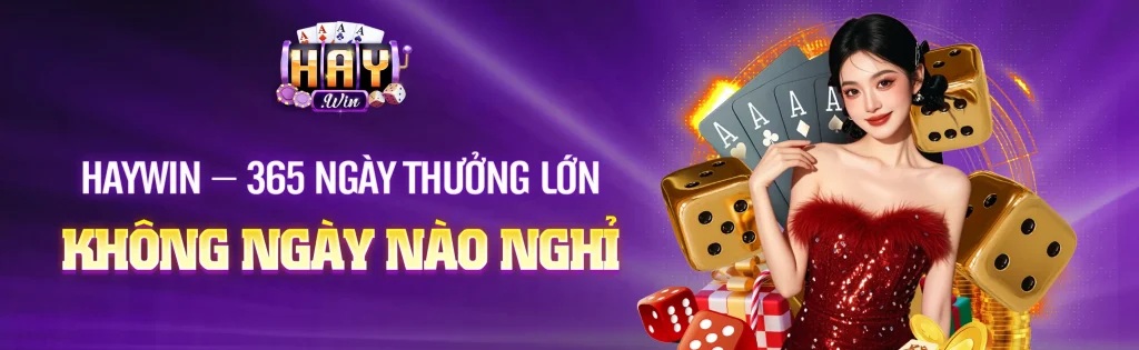 banner top 1 haywin
