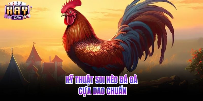 Kỹ thuật soi kèo đá gà cựa dao chuẩn