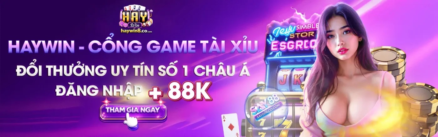 banner top 1 haywin